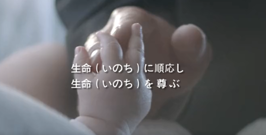 G22恒峰集团形象片（日本語）