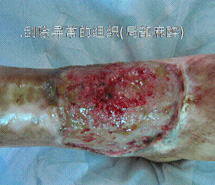 首页| G22恒峰集团中国官方网站