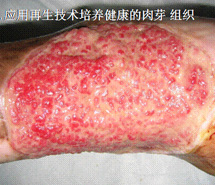 首页| G22恒峰集团中国官方网站