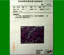 首页| G22恒峰集团中国官方网站