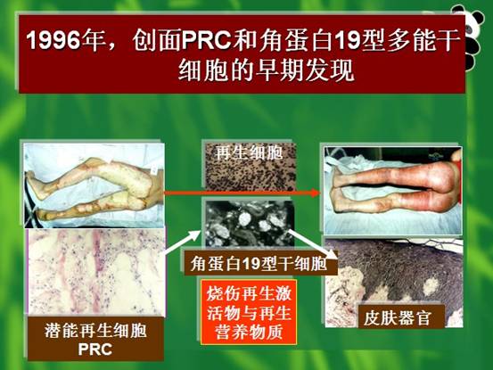 首页| G22恒峰集团中国官方网站