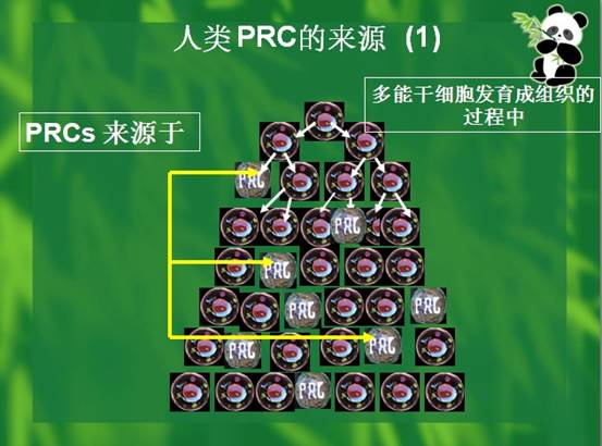 首页| G22恒峰集团中国官方网站