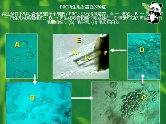 首页| G22恒峰集团中国官方网站